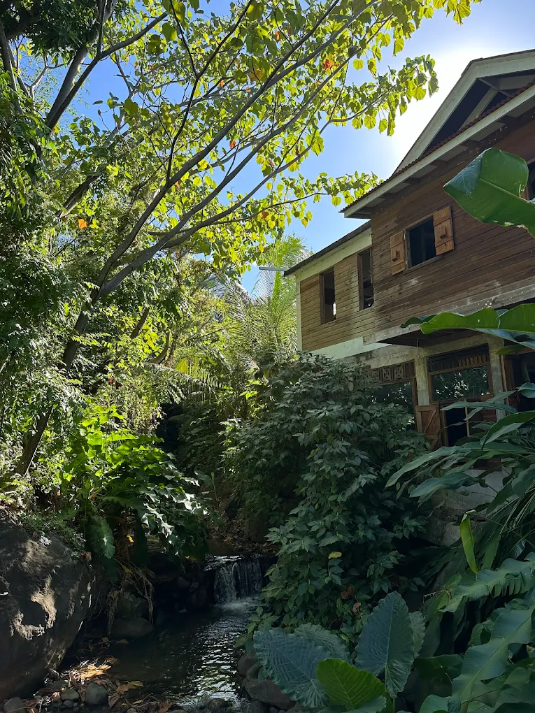 Tropical setting by the river